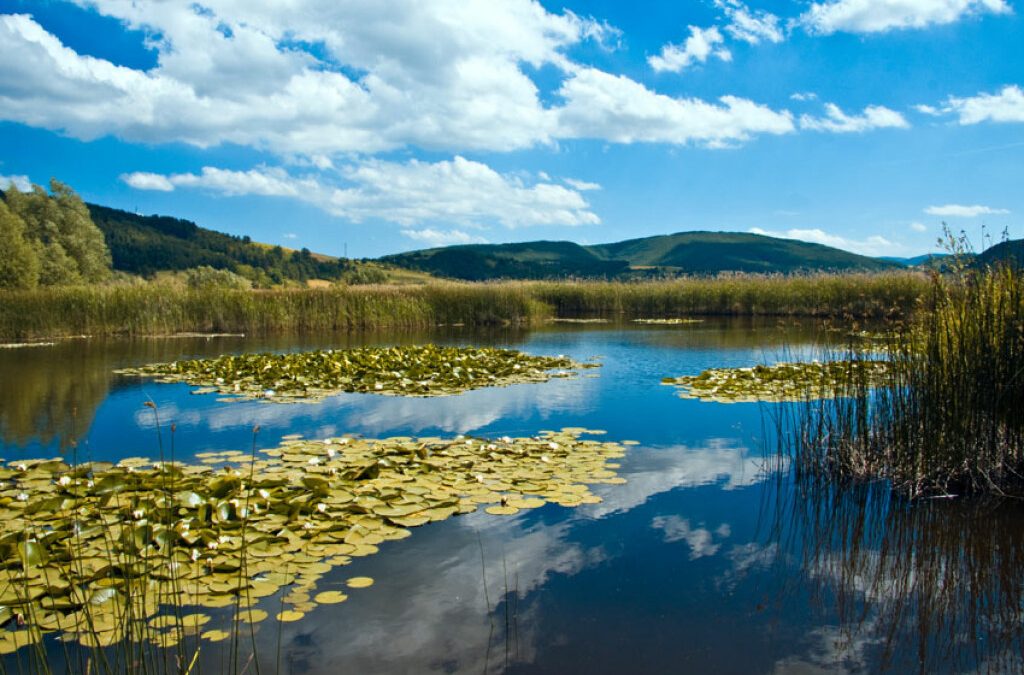 Parco regionale di Colfiorito